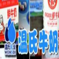 温氏牛奶饮品