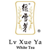 绿雪芽饮品
