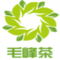 毛峰茶饮品