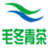 毛冬青茶饮品加盟