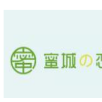 蜜城之恋加盟