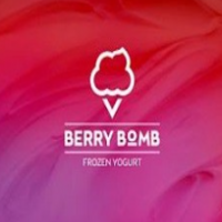 BerryBomb酸奶冰淇淋加盟