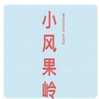 小风果岭加盟