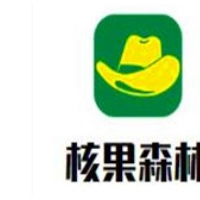 核果森林加盟