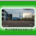 佛山市椰牌食品有限公司