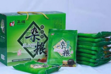 山西卫嫂食品有限公司