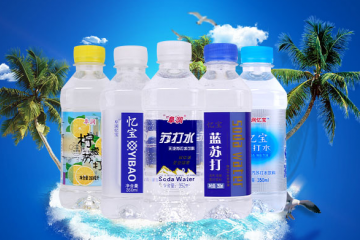 阜阳市百泉饮品有限公司