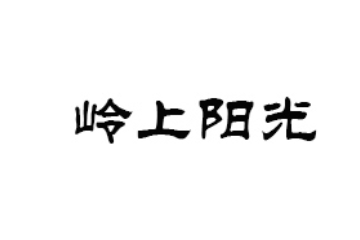 山西岭上阳光农业开发有限公司