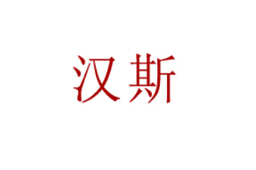 青岛啤酒西安汉斯集团有限公司