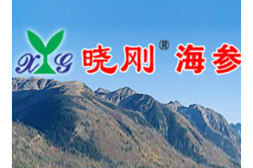 青岛晓刚海参有限公司