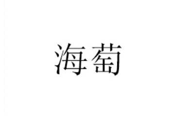 大连自贸区海萄进口商品销售有限公司
