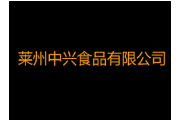 莱州中兴食品有限公司