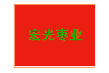 沧州宏光枣业有限公司