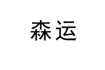 河南森运供应链管理有限公司