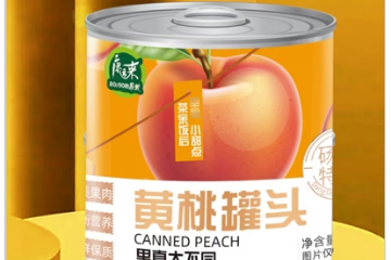 康运来食品