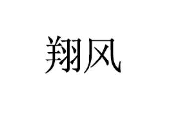 四川翔风科技有限公司