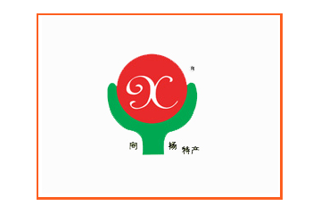 略阳向阳商贸有限责任公司