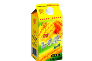 成都远景食品