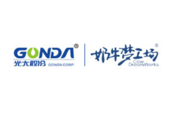 重庆光大（集团）有限公司