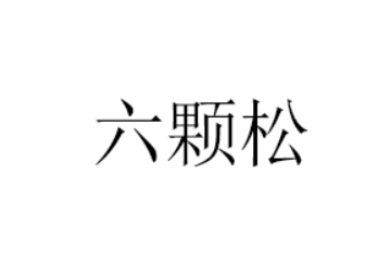 厦门六颗松食品有限公司