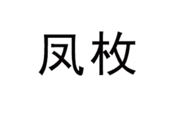 广东凤枚食品有限公司