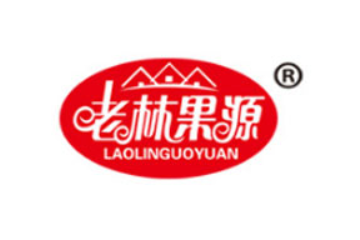 广东老林果源食品有限公司