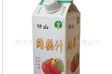 安庆市纪元食品有限责任公司