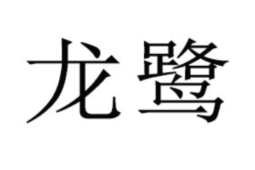 广州市龙鹭贸易有限公司