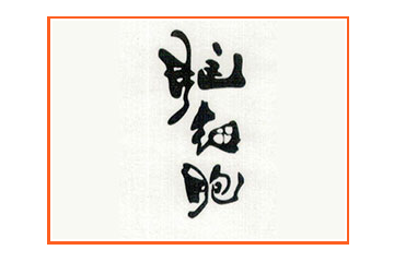 甘肃桃源饮品股份有限公司