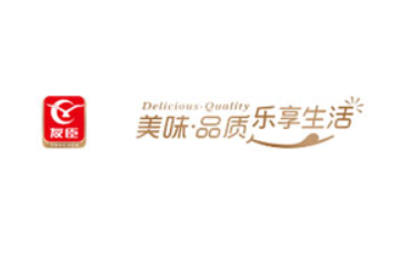 友臣集团有限公司