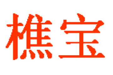 广东樵宝饮料有限公司