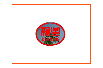镇原县新星果品有限责任公司