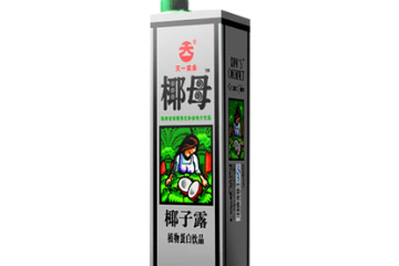 海南天一实业有限公司