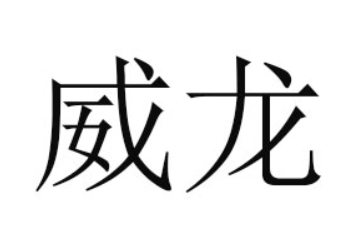 湛江市威龙食品有限公司