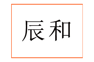 新疆辰和商贸有限公司