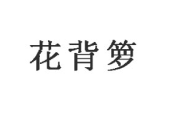 玉溪市花背箩蜂业有限公司