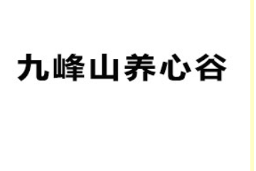 伊春市九峰山养心谷森林食品有限公司