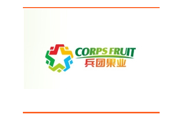 新疆生产建设兵团果业有限公司
