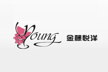 北京金藤悦洋商贸有限公司