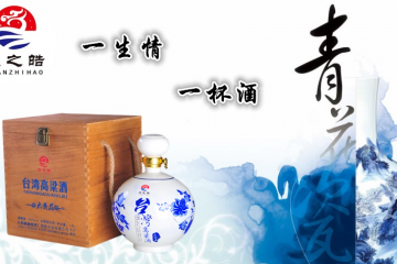安徽寻秦记酒业有限公司