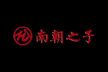 贵州南朝之子酒业有限公司