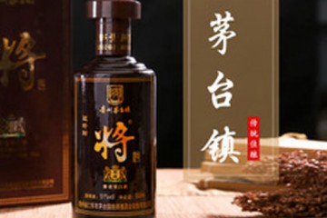 贵州省仁怀市小镇仙酿酒作坊