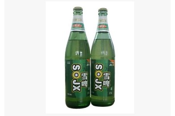 山东三九雪啤酒有限公司
