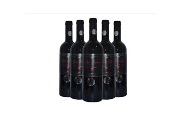 盐城市巴拉顿酒业进出口贸易有限公司