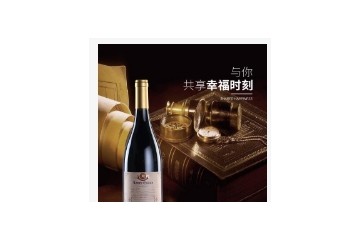 广东皇者酒业有限公司