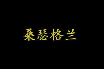 河南桑瑟格兰进出口贸易有限公司