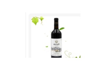 新疆西丹庄园酒业有限公司