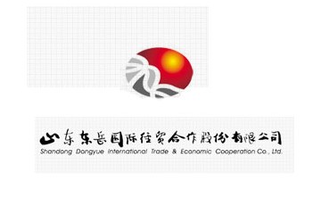 山东东岳国际经贸合作股份有限公司