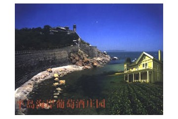蓬莱半岛海岸酒业有限公司