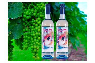 广州市安居宝酒业有限公司